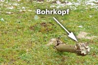 thumb Die Pilotbohrung ist geglückt