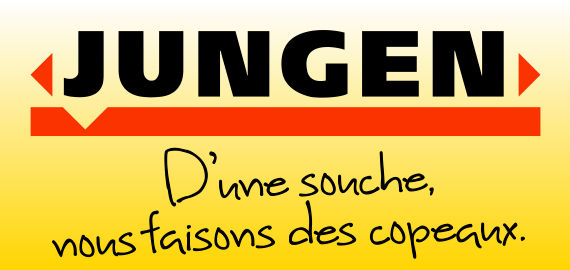 Jungen – D’une souche, nous faisons des copeaux.